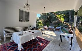 House With Beautiful Garden In Plomari