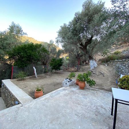 דירות House With Beautiful Garden In פלומרי מראה חיצוני תמונה