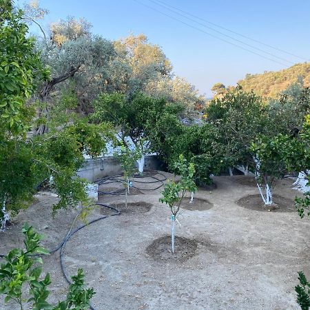דירות House With Beautiful Garden In פלומרי מראה חיצוני תמונה