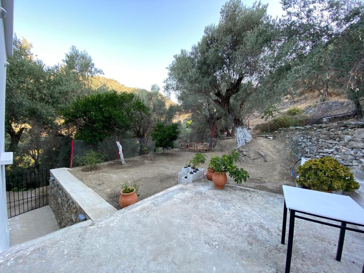 דירות House With Beautiful Garden In פלומרי מראה חיצוני תמונה