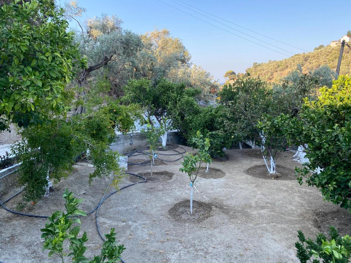 דירות House With Beautiful Garden In פלומרי מראה חיצוני תמונה