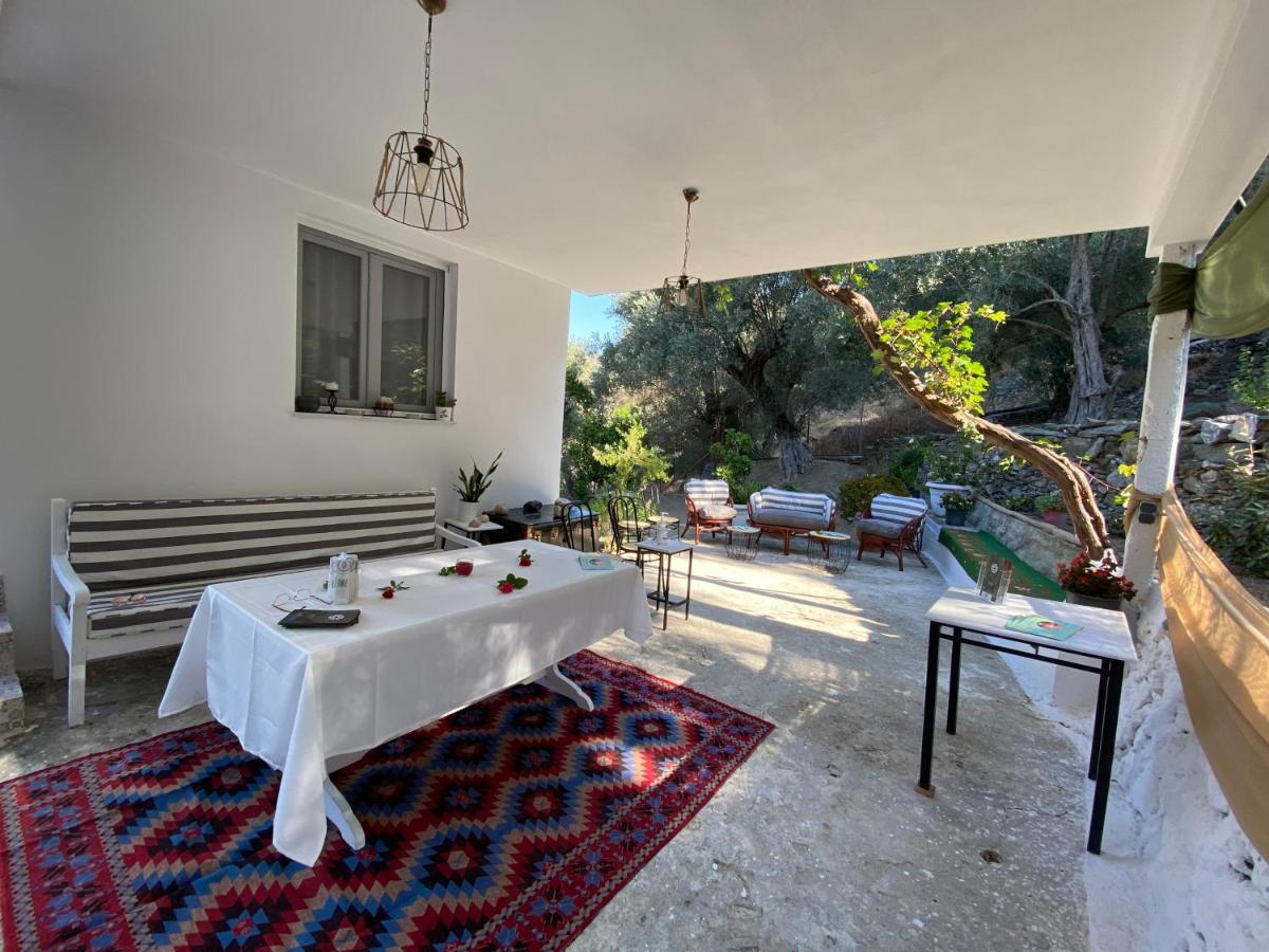 דירות House With Beautiful Garden In פלומרי מראה חיצוני תמונה