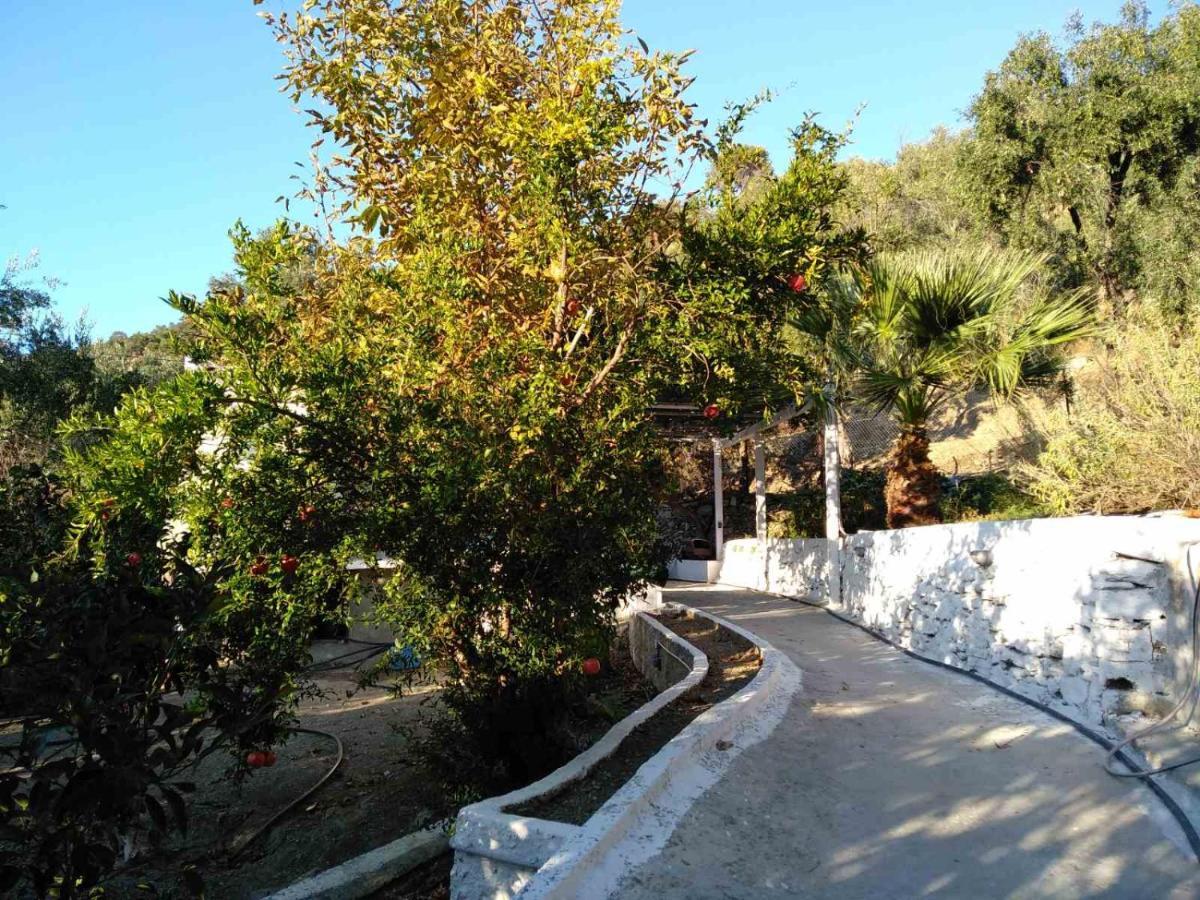 דירות House With Beautiful Garden In פלומרי מראה חיצוני תמונה